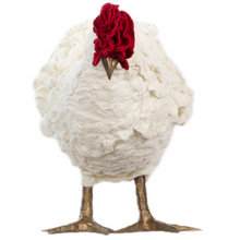 Load image into Gallery viewer, Graciana