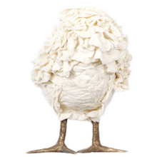 Load image into Gallery viewer, Graciana