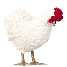 Load image into Gallery viewer, Graciana