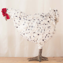 Load image into Gallery viewer, Felicity