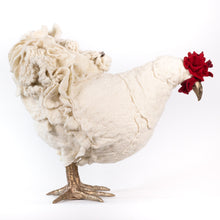 Load image into Gallery viewer, Edna