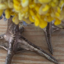 Load image into Gallery viewer, Sunny T. Storm