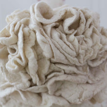 Load image into Gallery viewer, Trixie