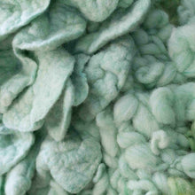 Load image into Gallery viewer, Chip