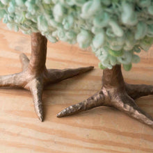 Load image into Gallery viewer, Chip