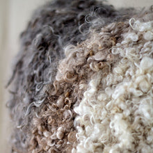 Load image into Gallery viewer, Victor