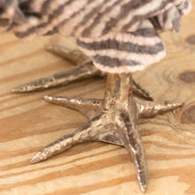 Load image into Gallery viewer, Belinda