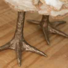 Load image into Gallery viewer, Little Sassafras