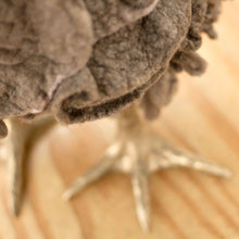 Load image into Gallery viewer, Little Raz