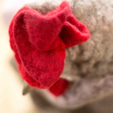 Load image into Gallery viewer, Little Raz