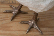 Load image into Gallery viewer, Little Lucy