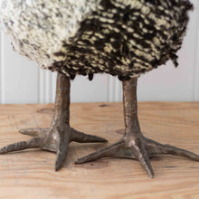 Load image into Gallery viewer, Pedro