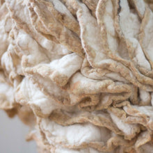 Load image into Gallery viewer, Little Bristol