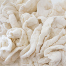 Load image into Gallery viewer, Tess