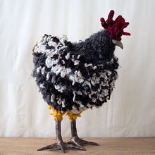 Load image into Gallery viewer, Davy