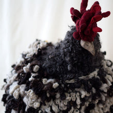 Load image into Gallery viewer, Davy