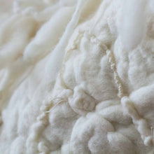 Load image into Gallery viewer, Chester Johnson