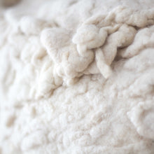 Load image into Gallery viewer, Berkeley