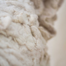 Load image into Gallery viewer, Berkeley