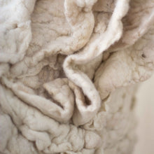 Load image into Gallery viewer, Berkeley