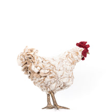 Load image into Gallery viewer, Little Arlette