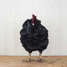 Load image into Gallery viewer, Little Percival