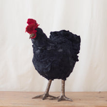 Load image into Gallery viewer, Little Edwina