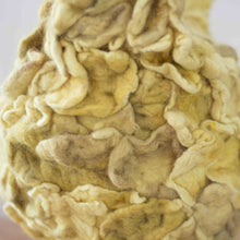 Load image into Gallery viewer, Little Leo