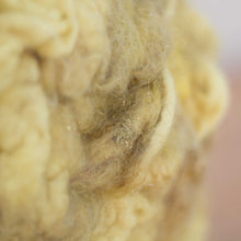 Load image into Gallery viewer, Little Leo