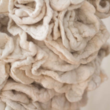 Load image into Gallery viewer, Oralee