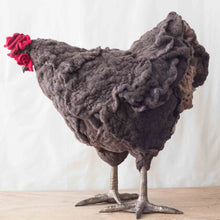 Load image into Gallery viewer, Austin