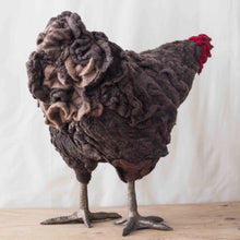 Load image into Gallery viewer, Austin