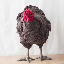 Load image into Gallery viewer, Austin