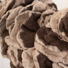 Load image into Gallery viewer, Little Latte