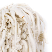 Load image into Gallery viewer, Scout