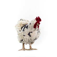 Load image into Gallery viewer, Little Saya