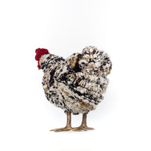 Load image into Gallery viewer, Little Talley