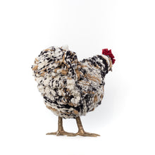 Load image into Gallery viewer, Little Talley