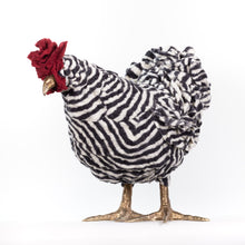 Load image into Gallery viewer, Iliana