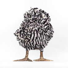 Load image into Gallery viewer, Iliana