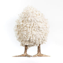 Load image into Gallery viewer, Celestina