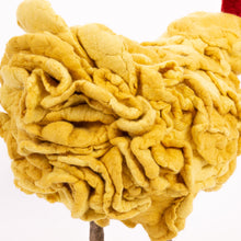 Load image into Gallery viewer, Little Lumi