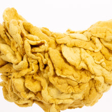 Load image into Gallery viewer, Little Lumi