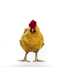 Load image into Gallery viewer, Little Nedra