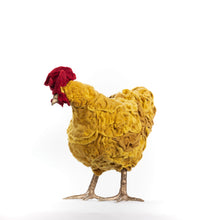 Load image into Gallery viewer, Little Nedra