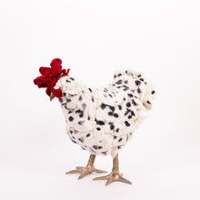 Load image into Gallery viewer, Little Felix