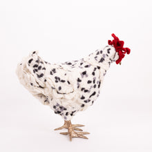 Load image into Gallery viewer, Little Felix