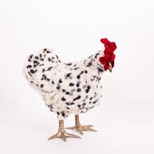 Load image into Gallery viewer, Little Felix