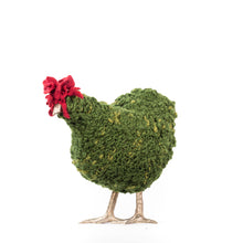 Load image into Gallery viewer, Little Cyrus