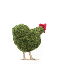 Load image into Gallery viewer, Little Cyrus